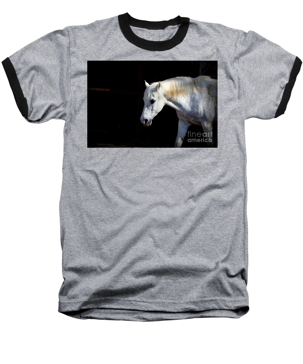 Horse Baseball T-Shirt featuring the photograph In Memory of Mi Amigo by Rabiah Seminole