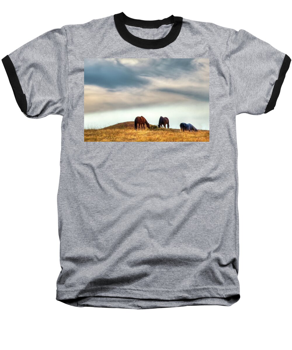 A Palouse Landscape Baseball T-Shirt featuring the photograph A Palouse Landscape #2 by David Patterson