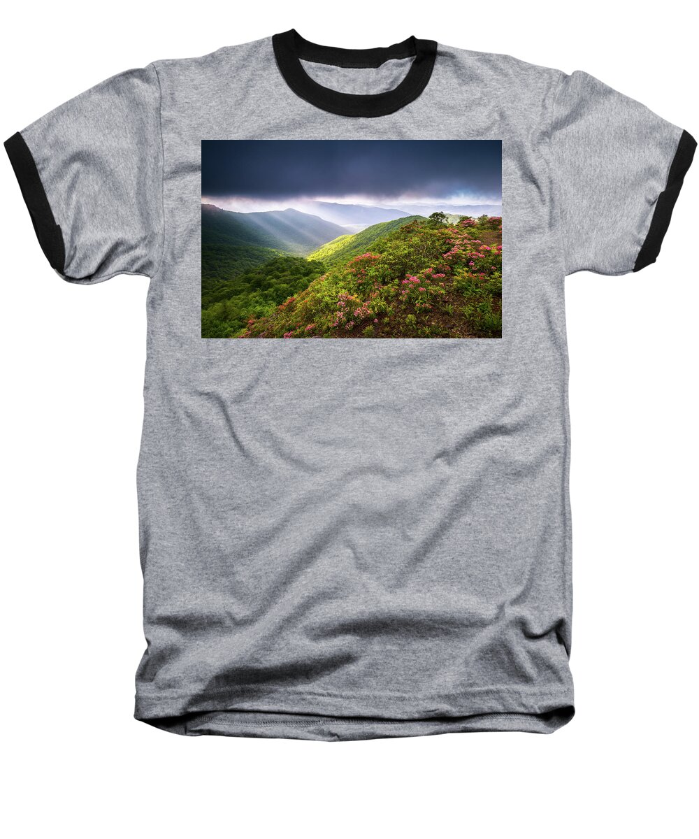 North Carolina Baseball T-Shirt featuring the photograph Asheville NC Blue Ridge Parkway Spring Flowers North Carolina #1 by Dave Allen