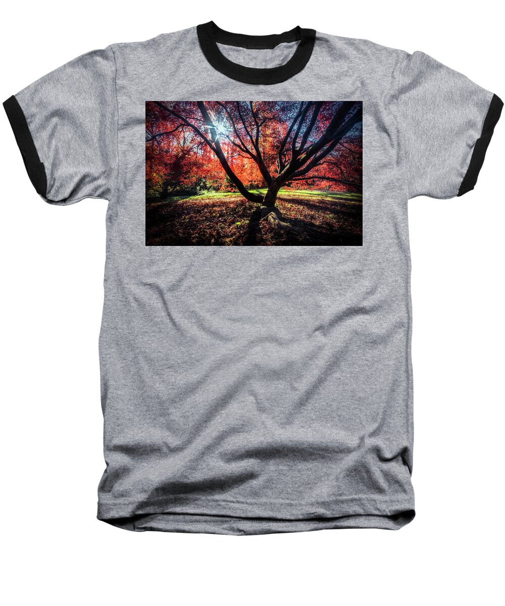 Washington D.c. Baseball T-Shirt featuring the photograph Autumn In The Nations Capital #1 by Robert Fawcett