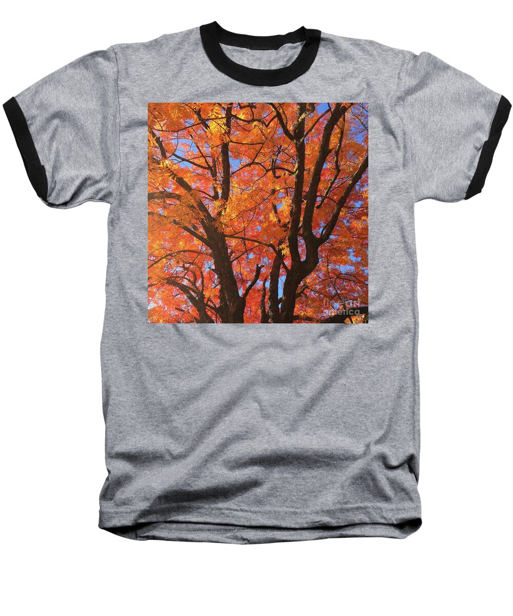 Autumn Baseball T-Shirt featuring the photograph Autumn Orange #2 by Matthew Seufer