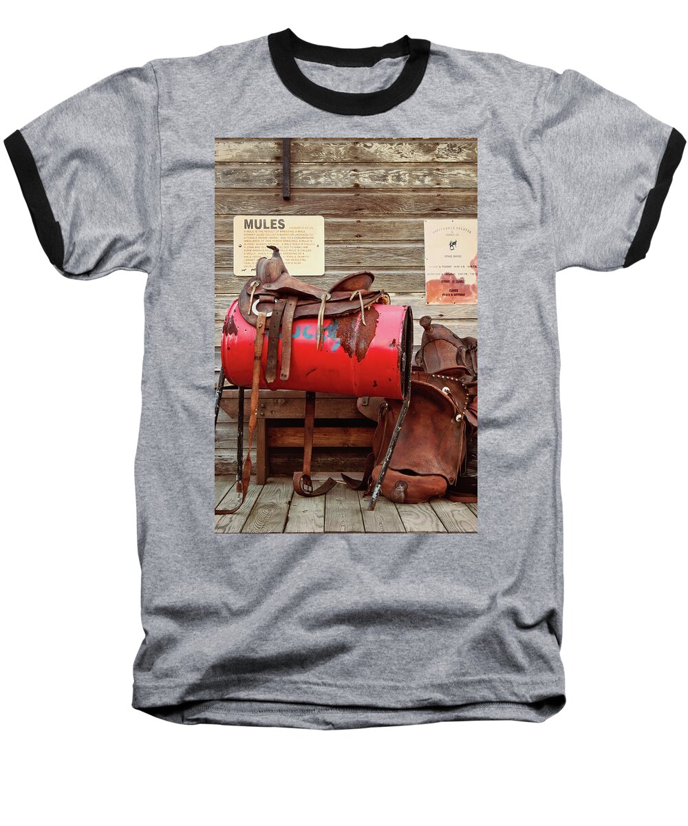 Saddle Baseball T-Shirt featuring the photograph Back in the Saddle by Jill Love