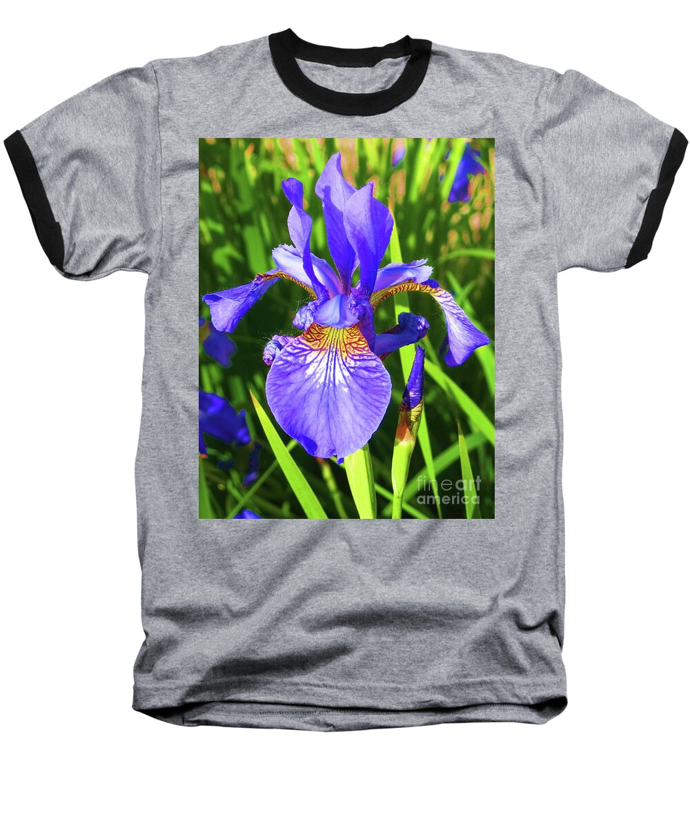 Iris Baseball T-Shirt featuring the photograph Blue iris #1 by Irina Afonskaya