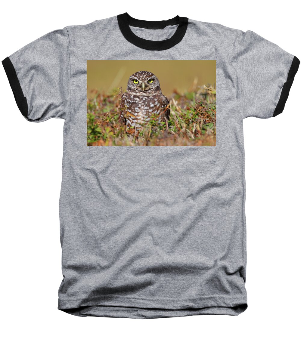 Owl Baseball T-Shirt featuring the photograph Burrowing Owl #1 by Bruce J Robinson