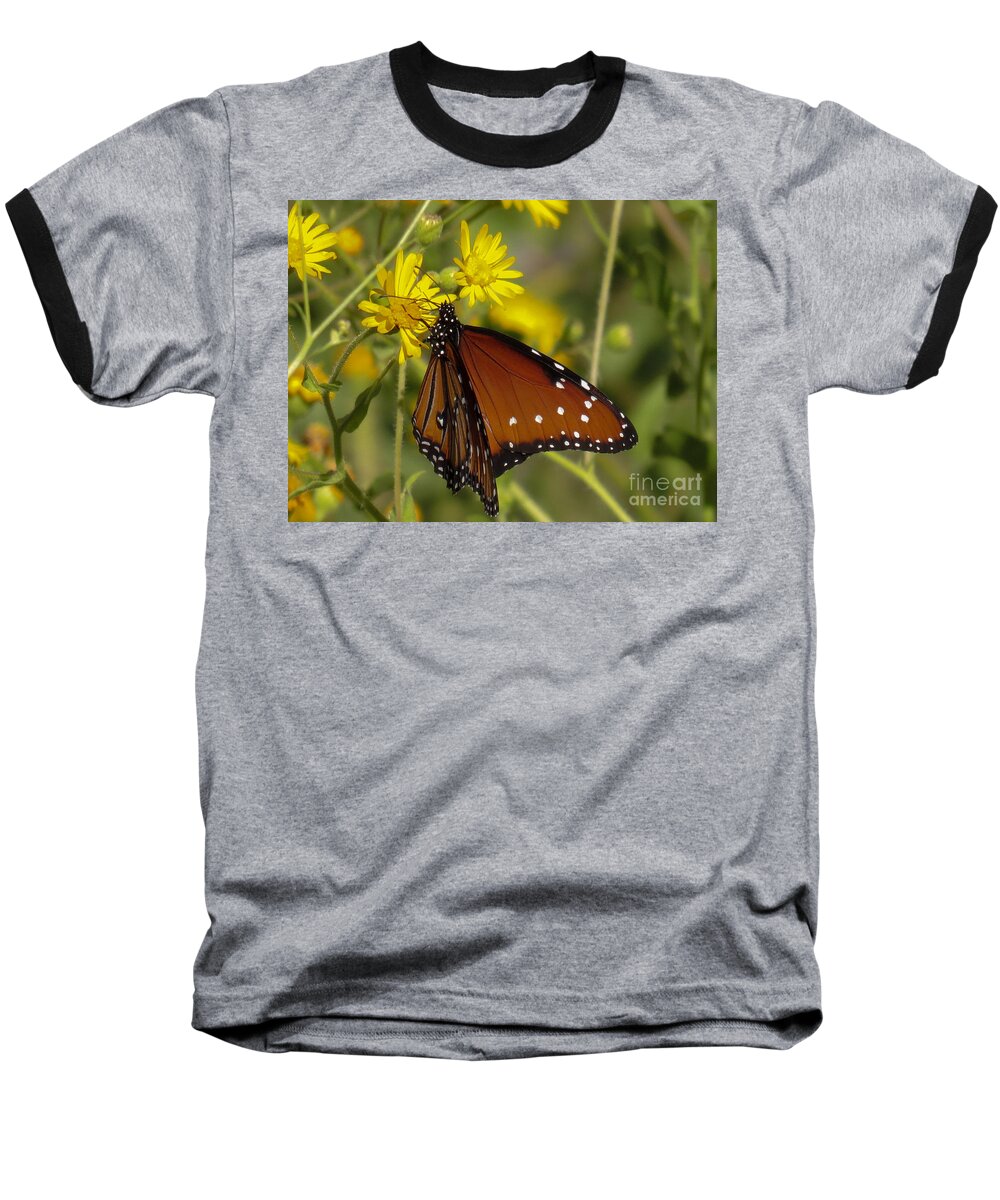Butterfly Baseball T-Shirt featuring the photograph Butterfly 3 by Christy Garavetto