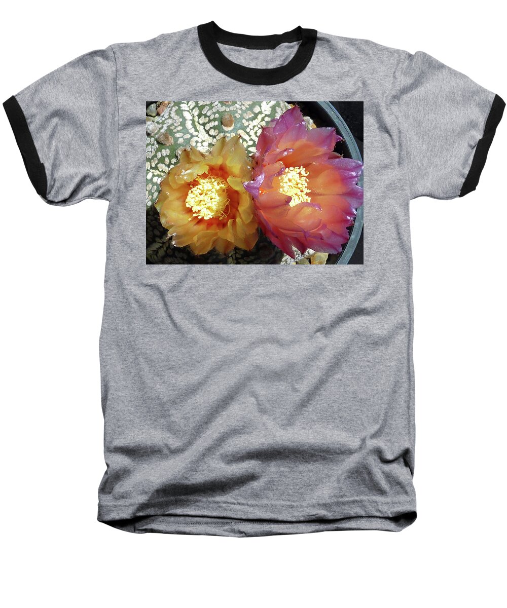 Cactus Baseball T-Shirt featuring the photograph Cactus Flower 3 #2 by Selena Boron