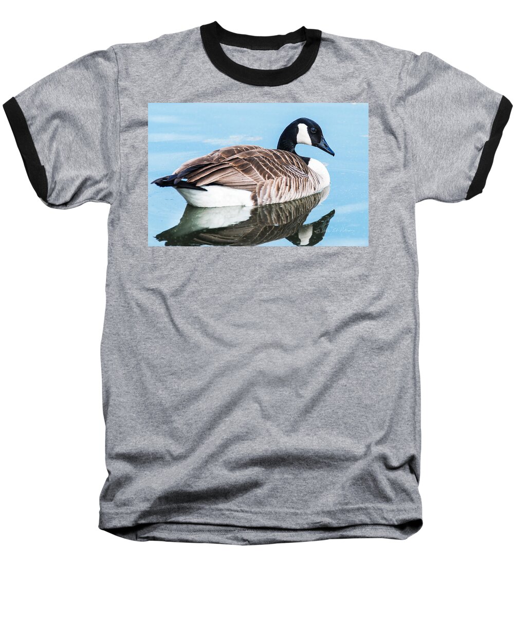 Heron Heaven Baseball T-Shirt featuring the photograph Canada Geese In Spring #1 by Ed Peterson