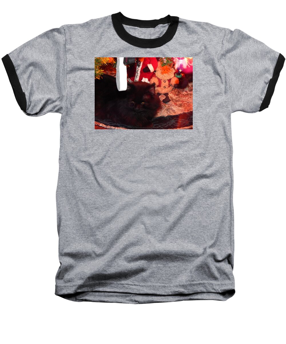 Christmas Baseball T-Shirt featuring the photograph Christmas Kitty #2 by Wild Thing