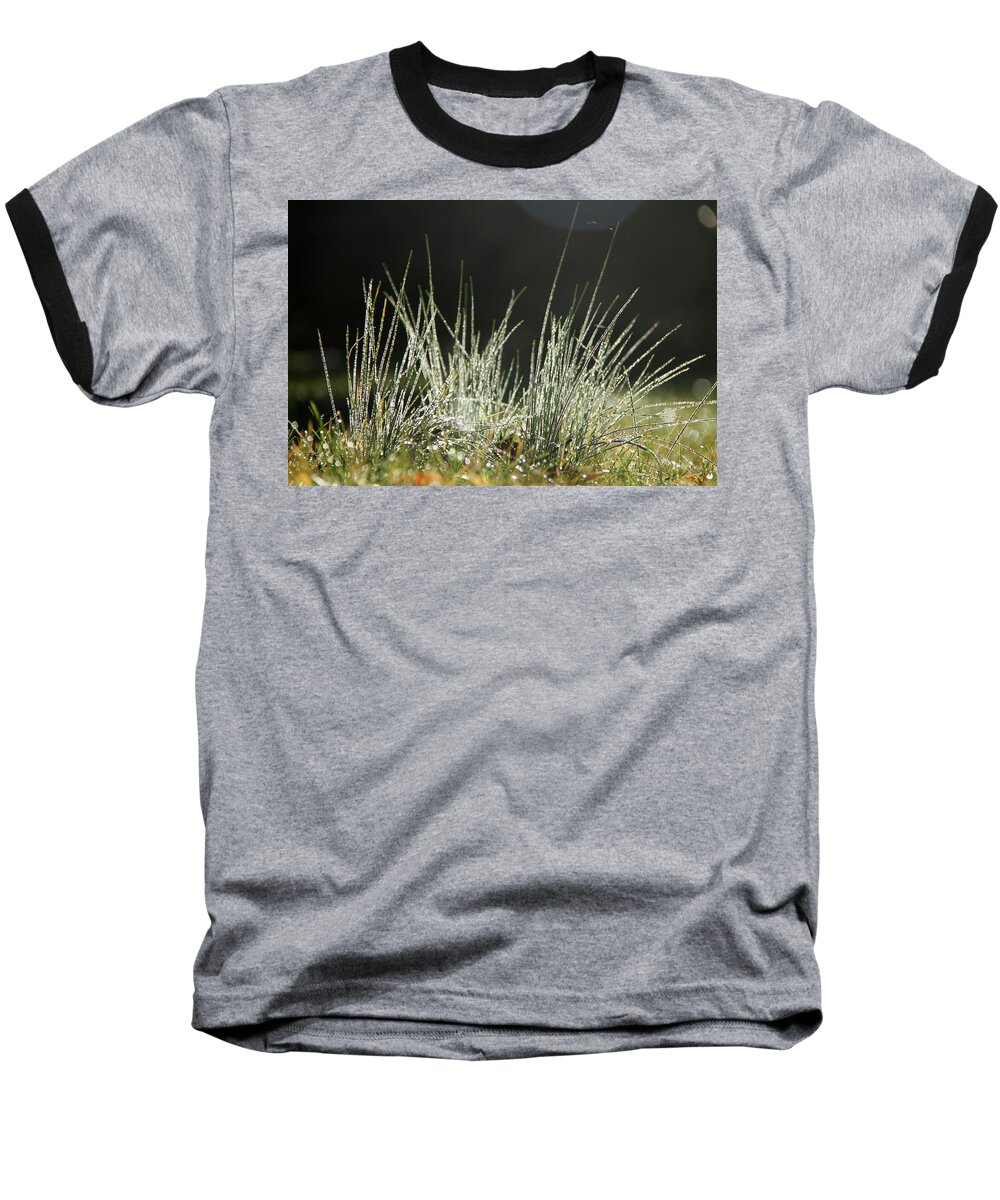 Grass Baseball T-Shirt featuring the photograph Close-up of dew on grass, in a sunny, humid autumn morning #1 by Emanuel Tanjala