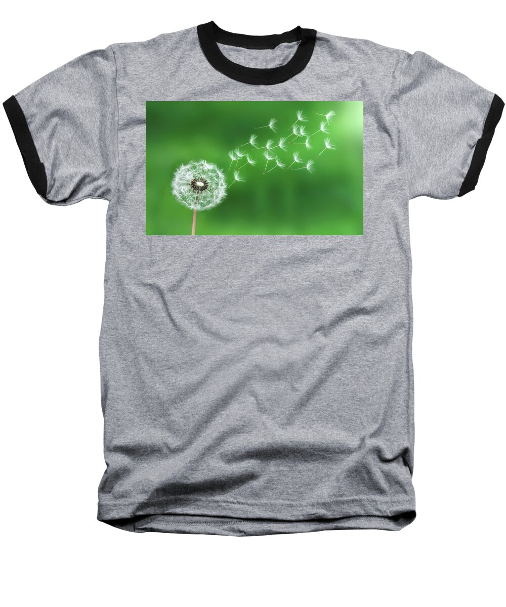 Abstract Baseball T-Shirt featuring the photograph Dandelion seeds #1 by Bess Hamiti
