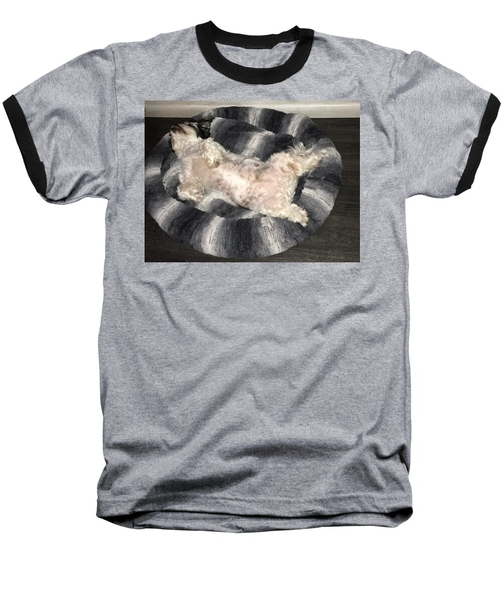 Shih-tzu Sleeping Baseball T-Shirt featuring the photograph Dreamland #1 by Val Oconnor