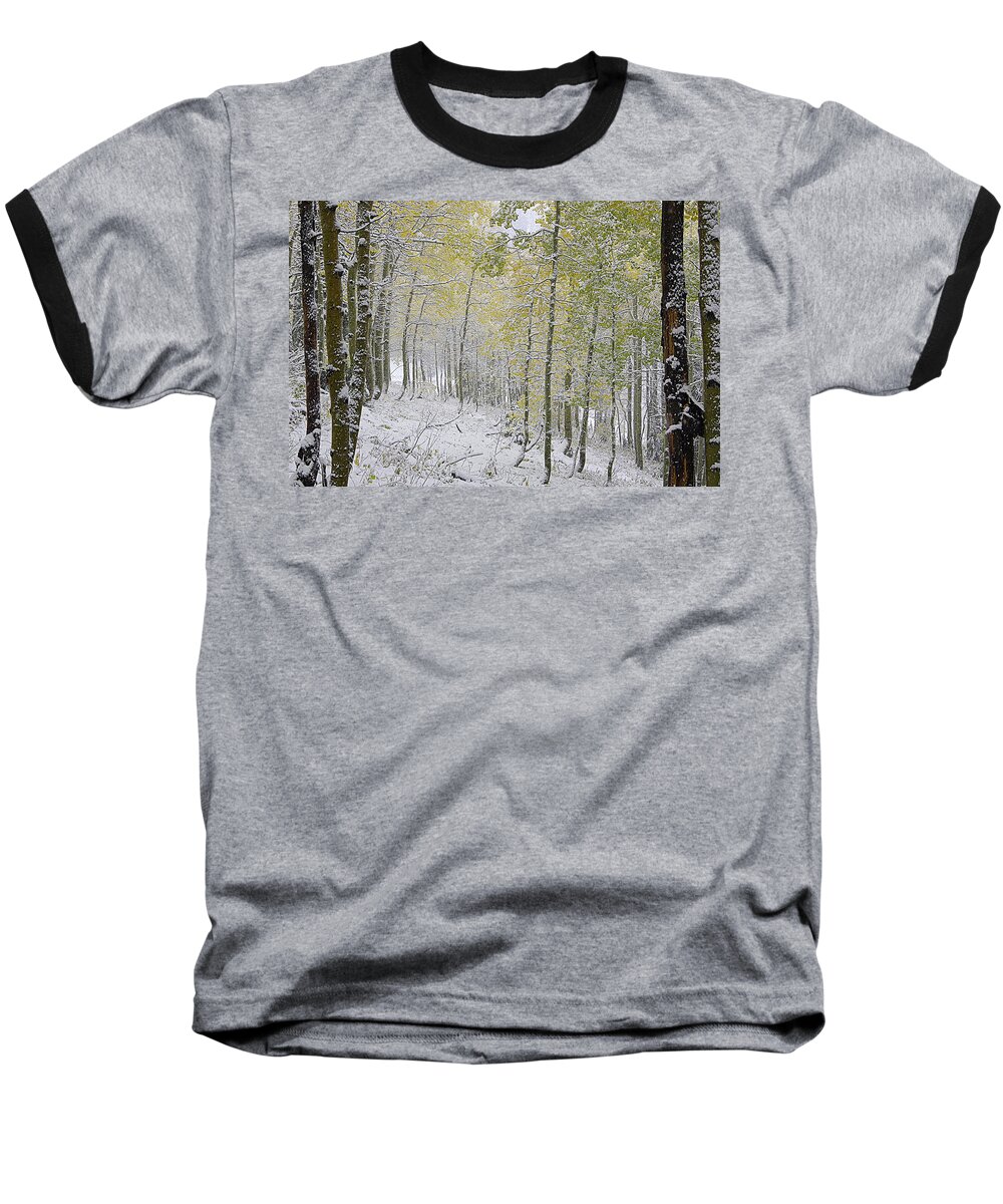 Fall Baseball T-Shirt featuring the photograph First Snow Fall #2 by Matt Helm