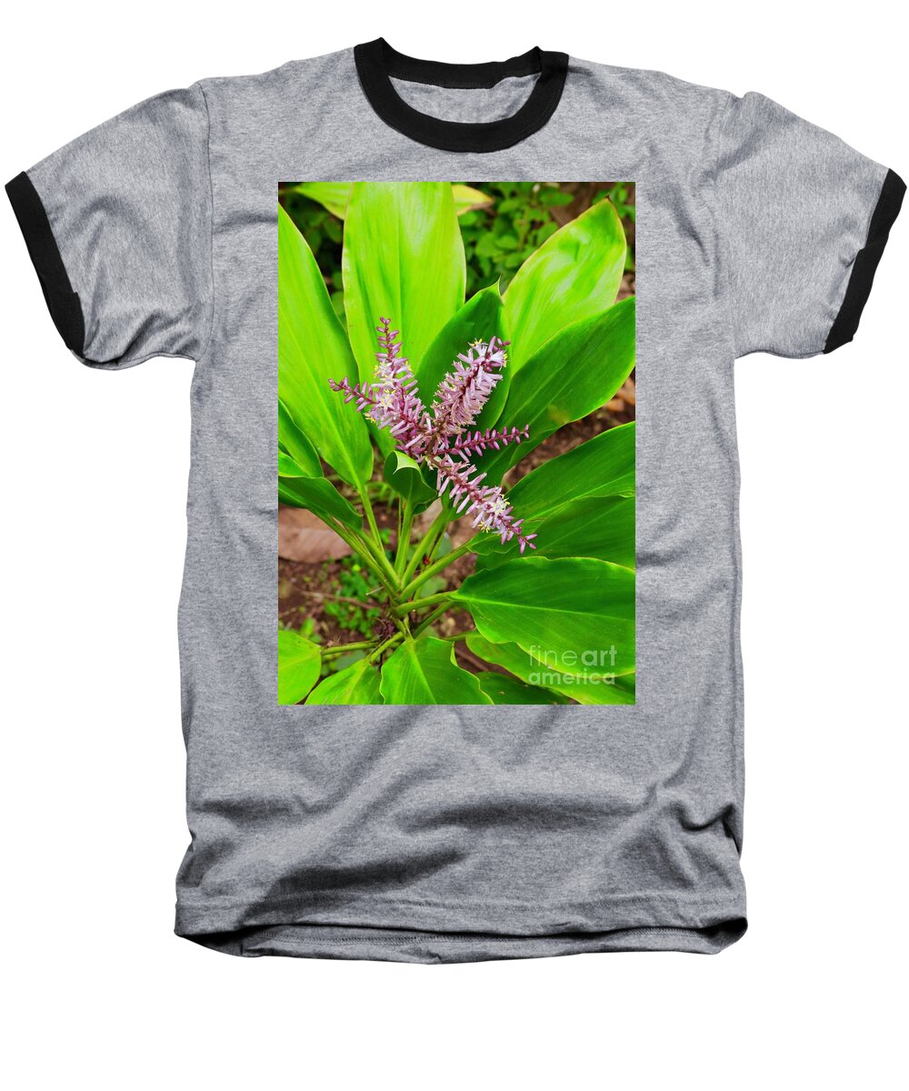 Ki Plant Baseball T-Shirt featuring the photograph Flowering Ti Plant #1 by Craig Wood