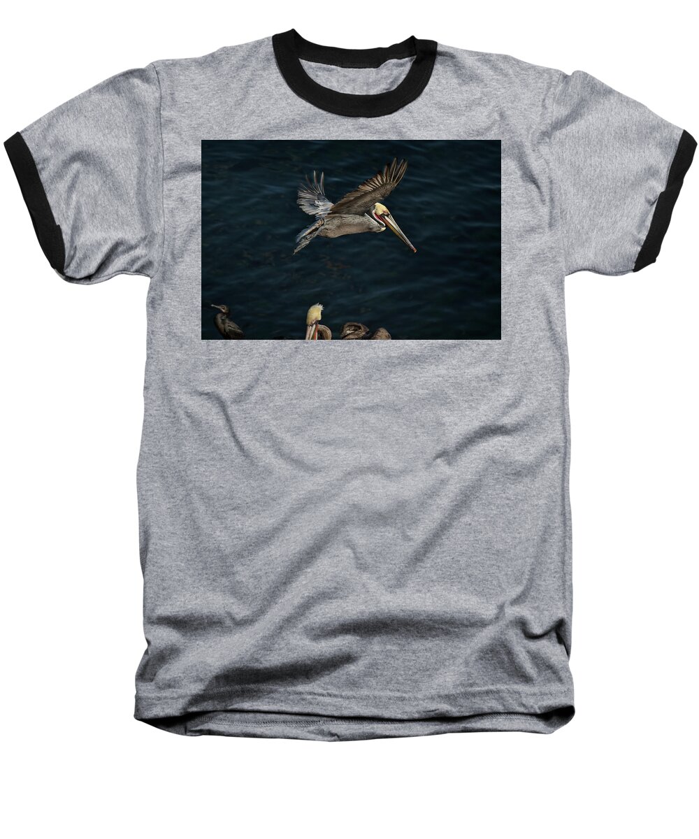 Phenicie Baseball T-Shirt featuring the photograph Fly-by #1 by James David Phenicie