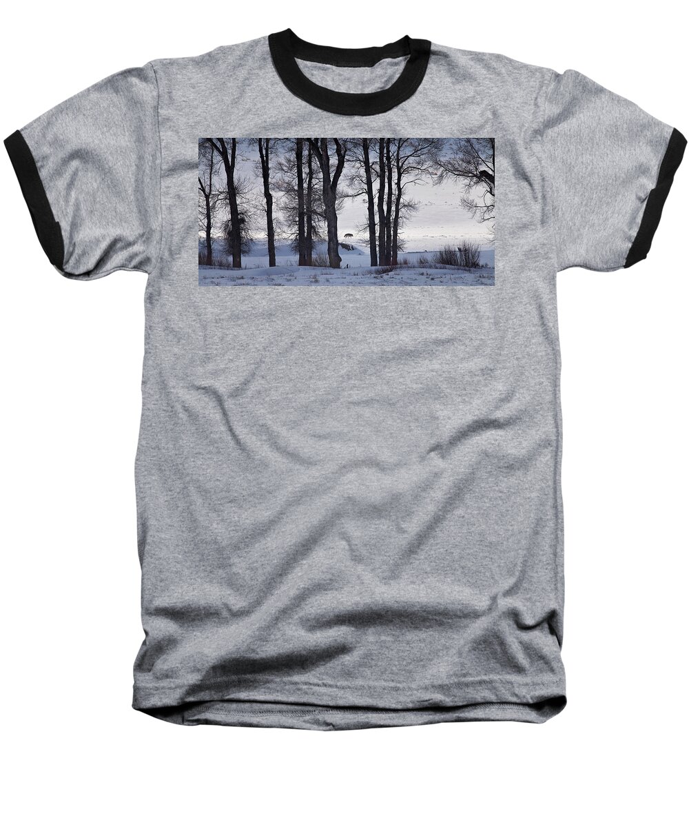 Travel Baseball T-Shirt featuring the photograph Ghost of 06 by Eilish Palmer
