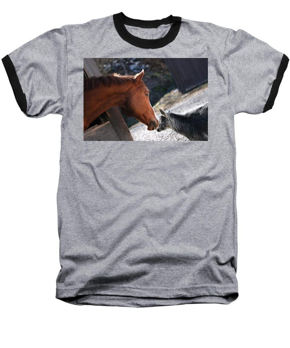 Horse Baseball T-Shirt featuring the photograph Hello Friend #1 by Angela Rath