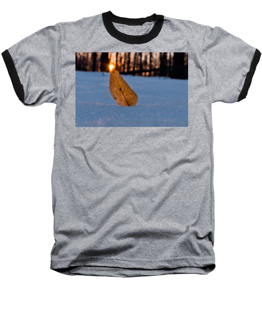 Sun Baseball T-Shirt featuring the photograph Its the Small Things #1 by Craig Szymanski