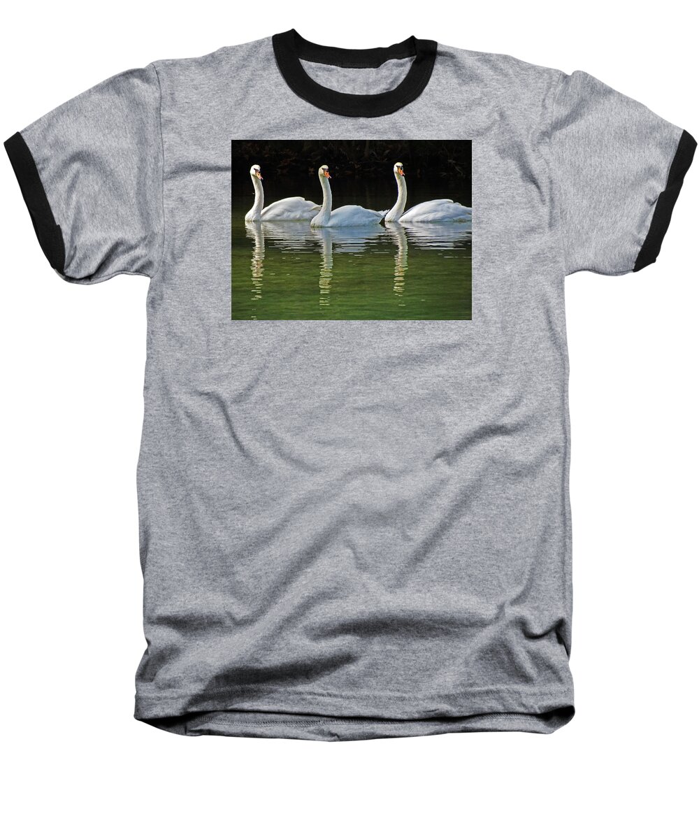 Swans Baseball T-Shirt featuring the photograph Look Over There #2 by Judy Wanamaker