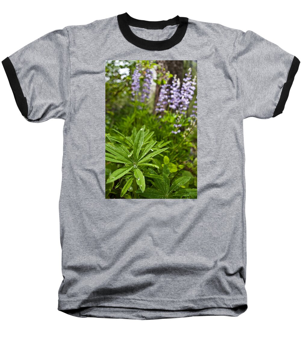 Leaf Baseball T-Shirt featuring the photograph Lupine Leaf #2 by Jedediah Hohf