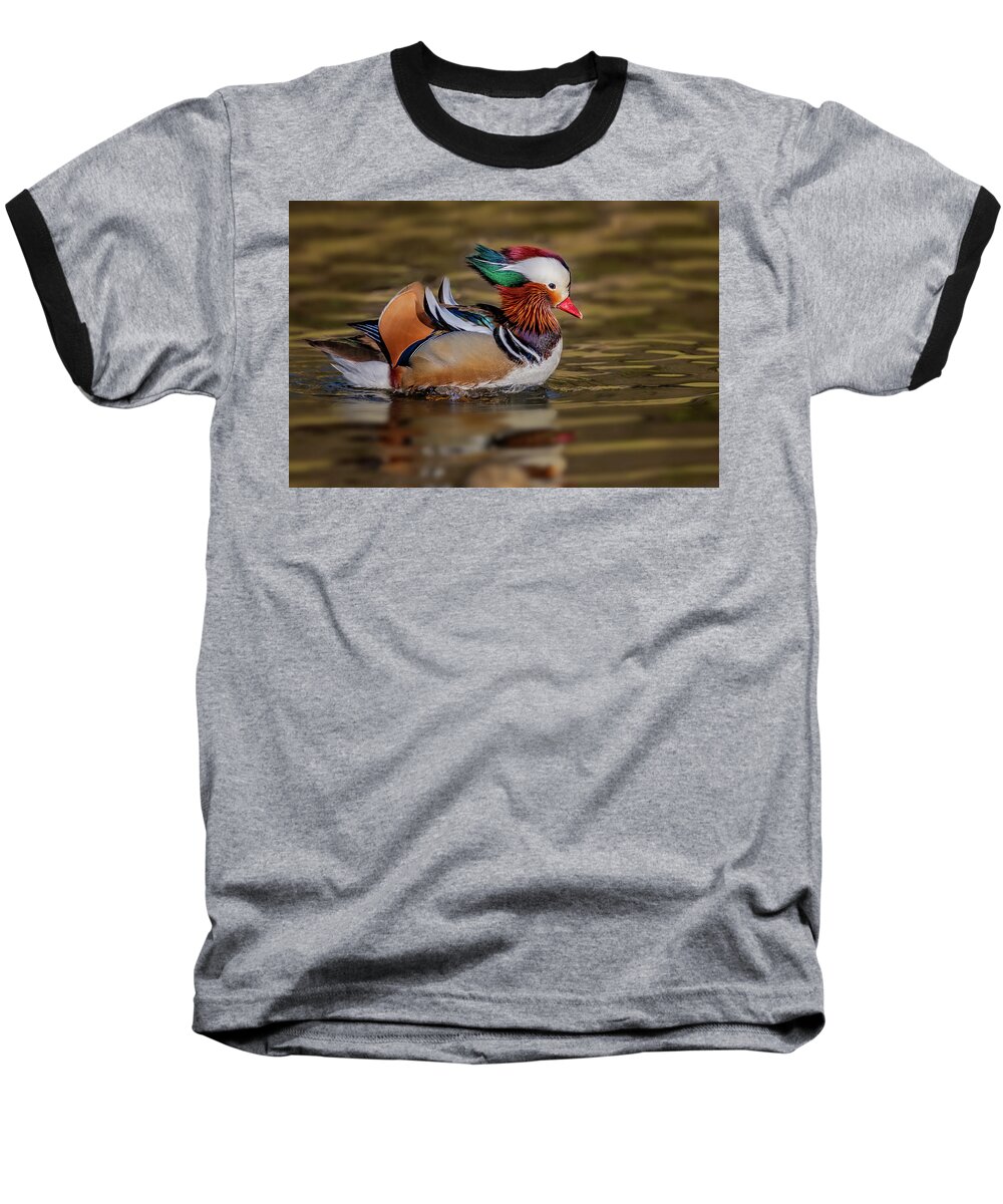 Mandarin Duck Baseball T-Shirt featuring the photograph Mandarin Duck #2 by Susan Candelario