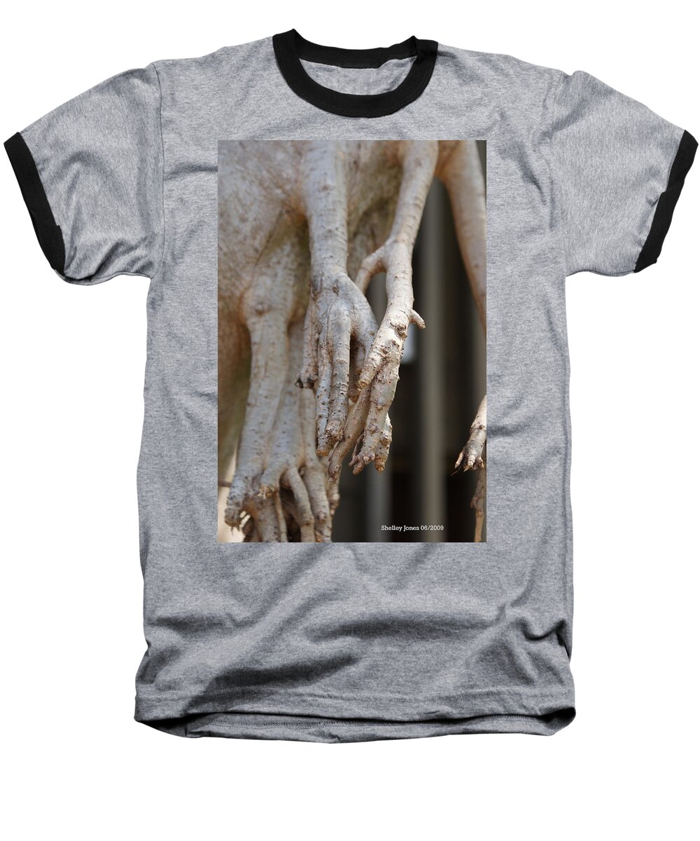 Praying Hands Baseball T-Shirt featuring the photograph Nature #1 by Shelley Jones