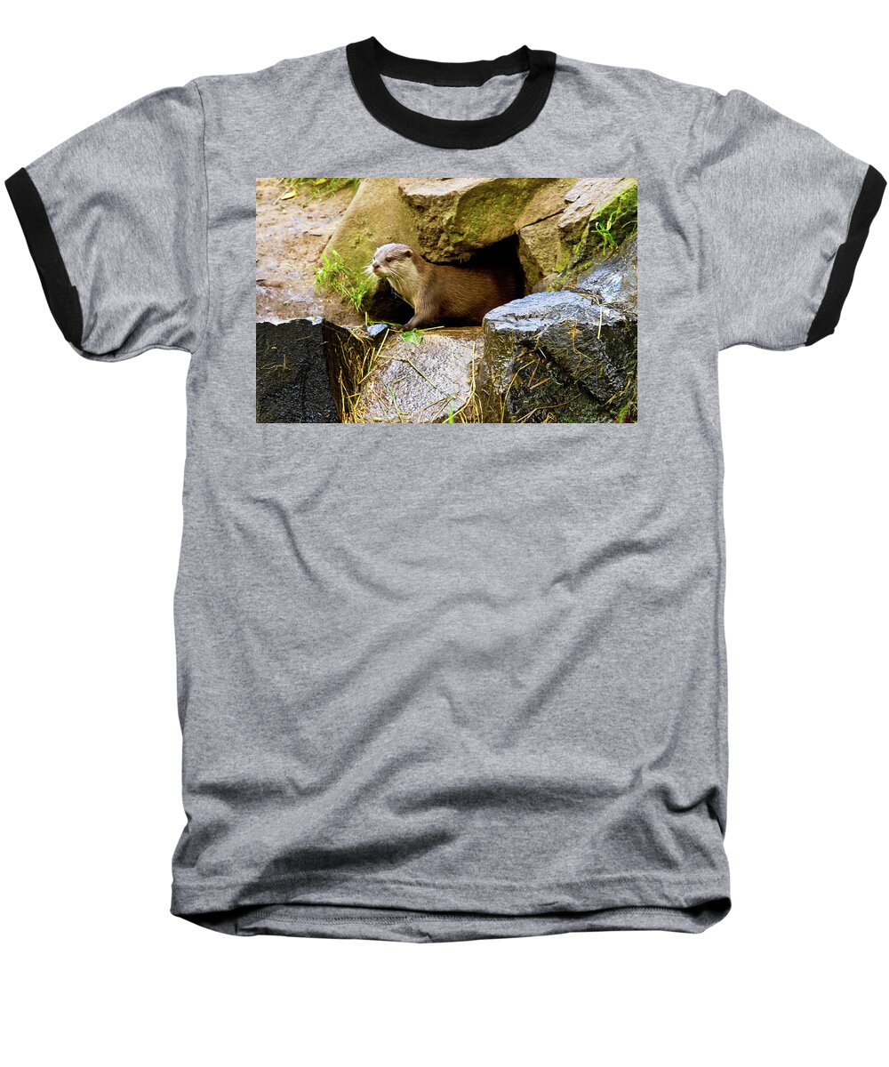 Otter Baseball T-Shirt featuring the photograph Otter #2 by Ed James
