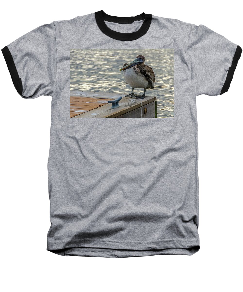 Pelican Baseball T-Shirt featuring the photograph Pelican at the dock #1 by Wolfgang Stocker