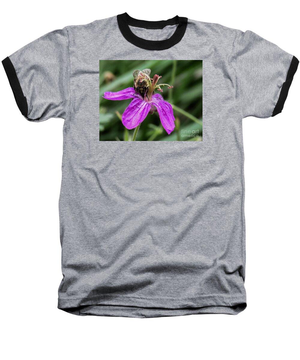 Nature Baseball T-Shirt featuring the photograph Purple Flower 3 by Christy Garavetto