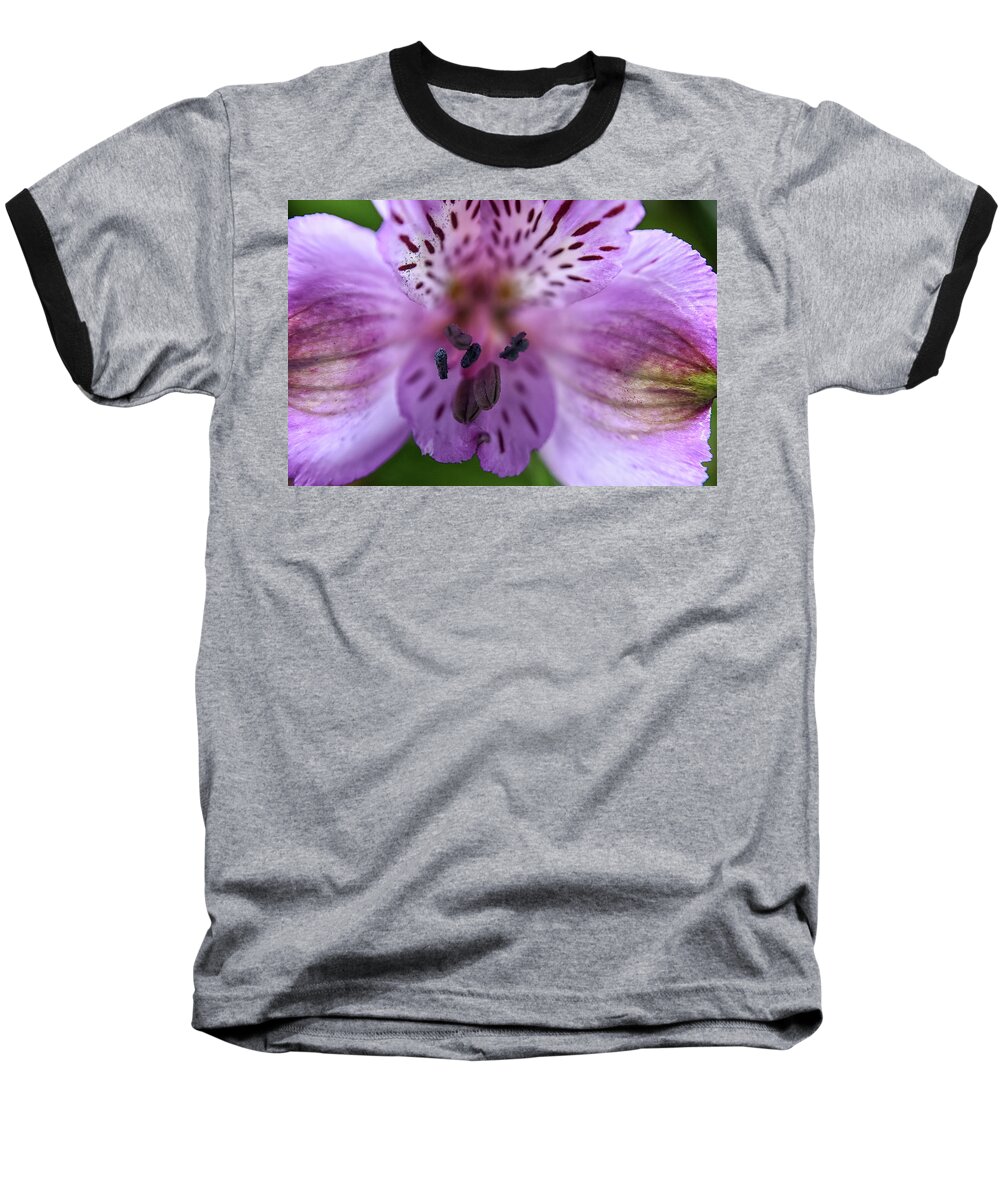  Baseball T-Shirt featuring the photograph Purple Flower #1 by Kuni Photography