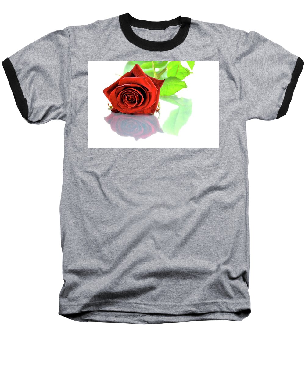 Rose Baseball T-Shirt featuring the photograph Red rose #1 by Dutourdumonde Photography