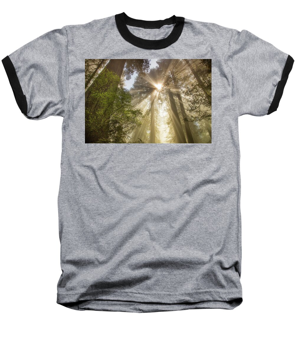 Redwoods Sunburst Baseball T-Shirt featuring the photograph Redwoods sunburst #1 by Kunal Mehra
