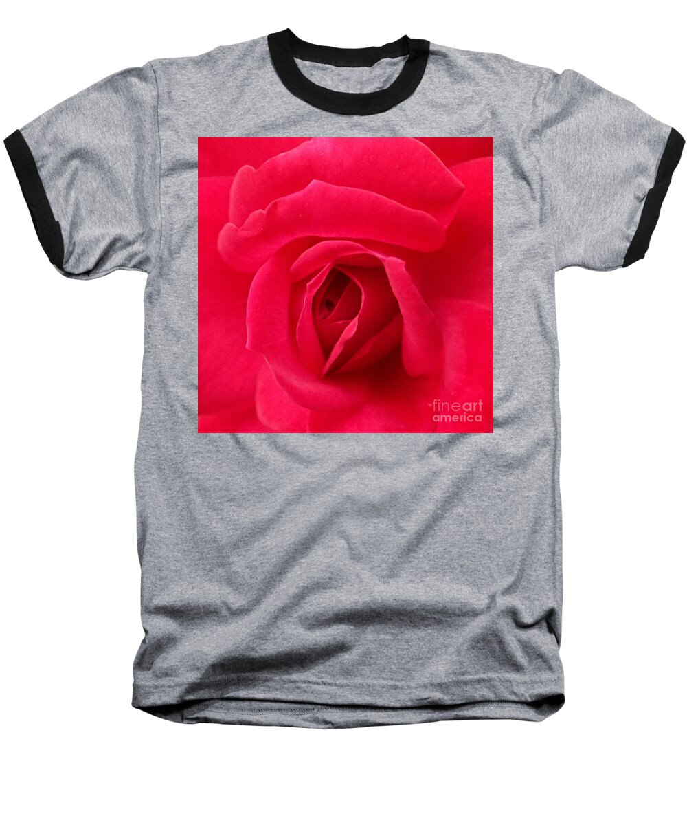 Rose Baseball T-Shirt featuring the photograph Rose #1 by A K Dayton