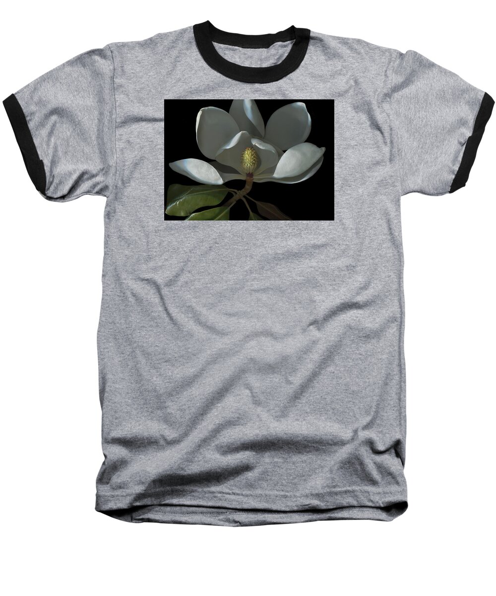 White Magnolia Baseball T-Shirt featuring the photograph Royal Magnolia #1 by Susan Rinehart