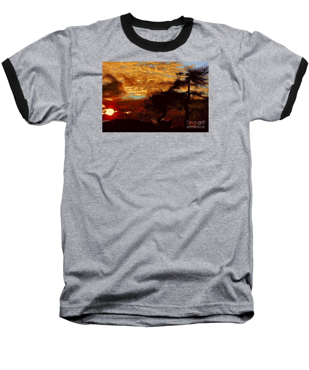 Treee Baseball T-Shirt featuring the photograph Sechelt Tree 2 #1 by Elaine Hunter