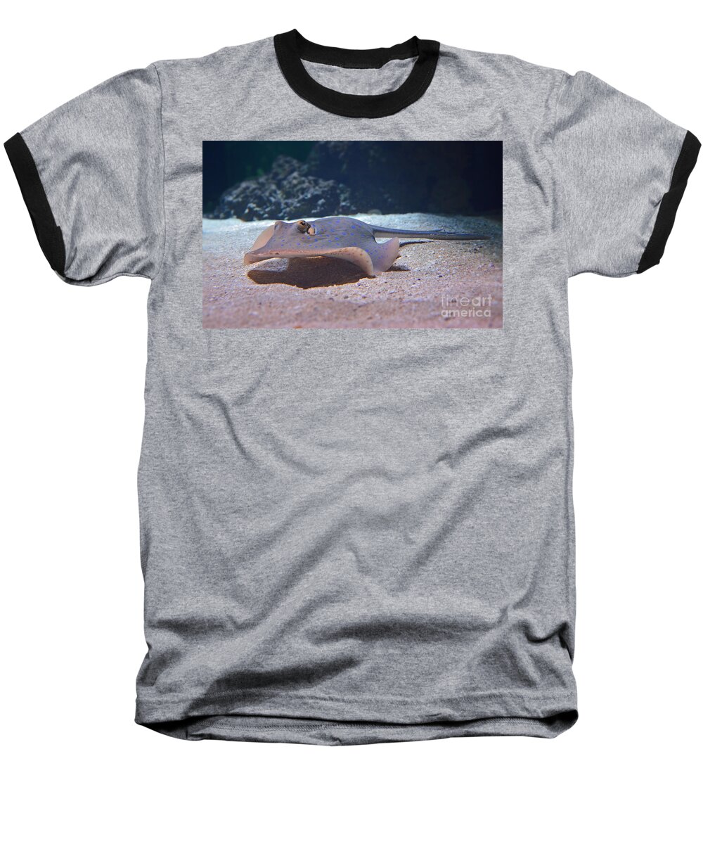 Stingray Baseball T-Shirt featuring the photograph Stingray #1 by Frank Larkin