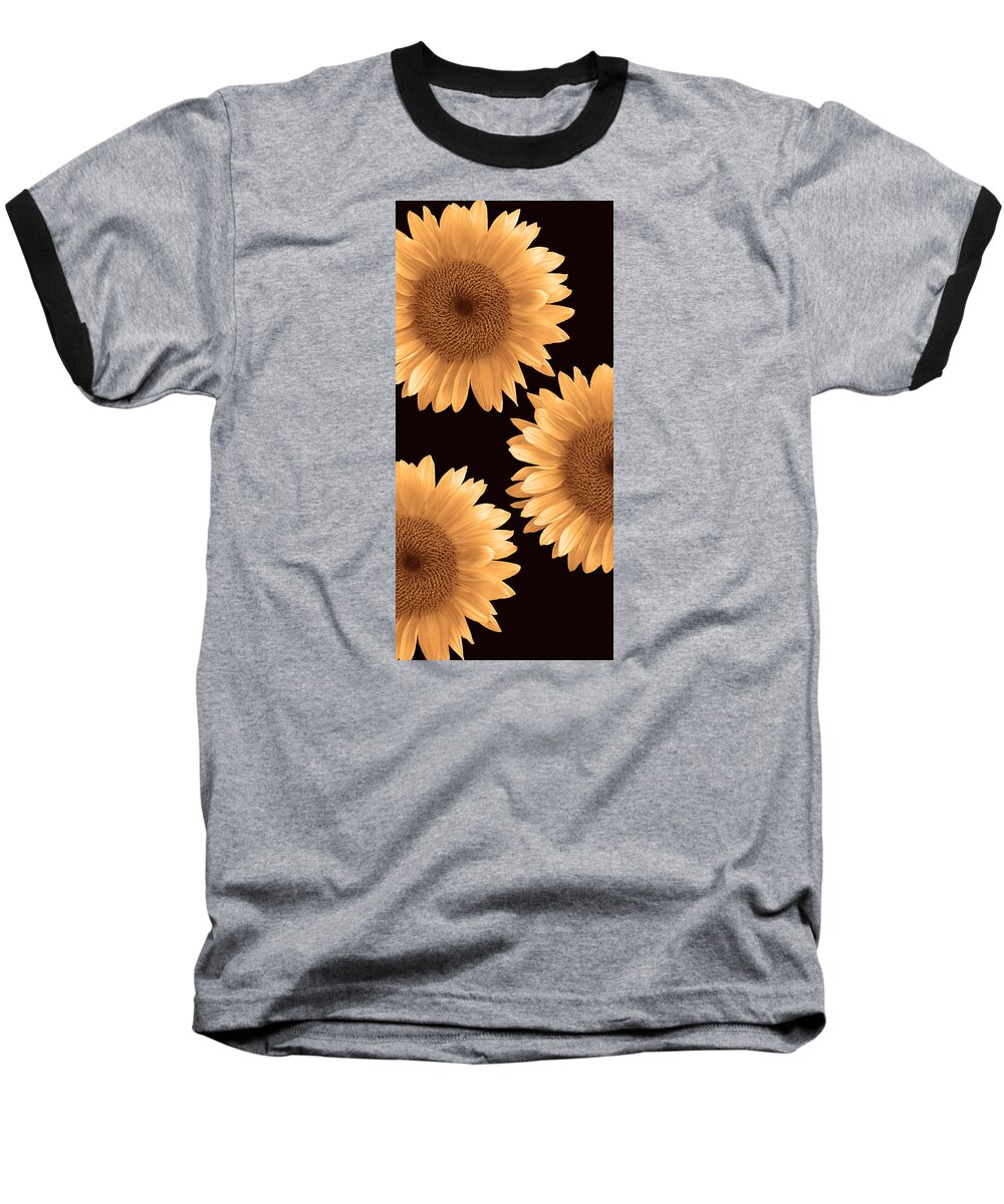 Sunflowers Baseball T-Shirt featuring the photograph Sunflower Trio #1 by Susan Rinehart