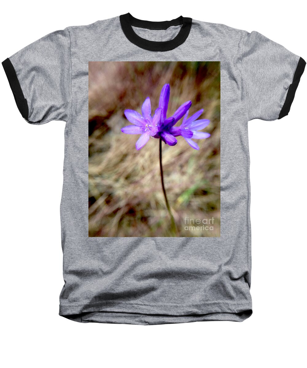 Photography Baseball T-Shirt featuring the photograph The Color Purple #2 by Sean Griffin