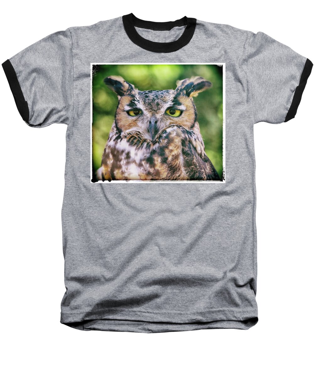 Owls Baseball T-Shirt featuring the photograph The Wise Old Owl #1 by Elaine Malott