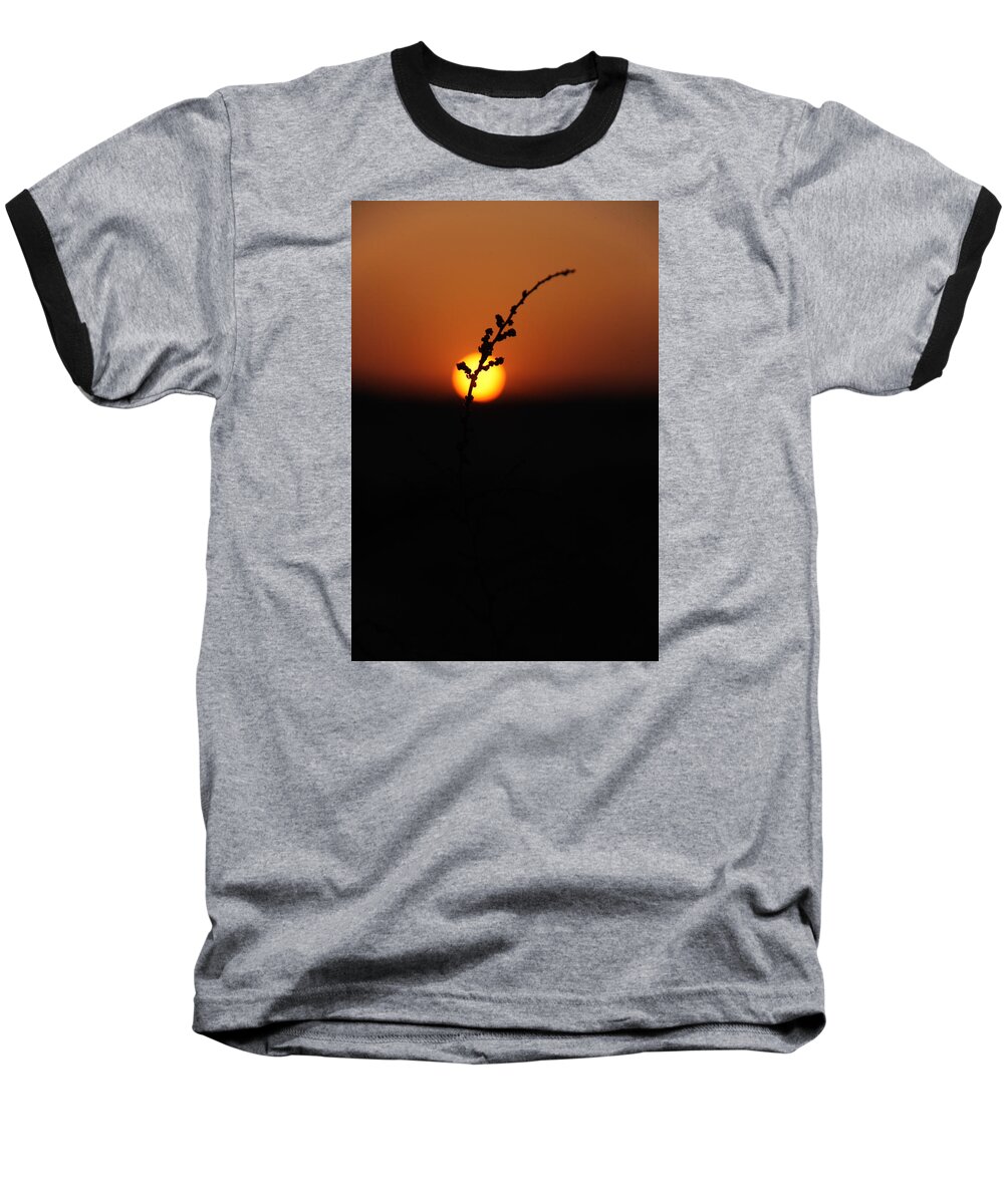 2015 Baseball T-Shirt featuring the photograph Tumpak #1 by Jez C Self