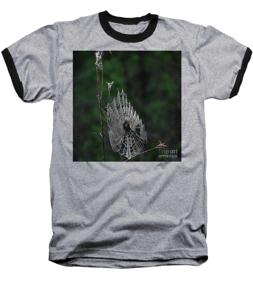 Nature Baseball T-Shirt featuring the photograph Webs We Weave #1 by Skip Willits