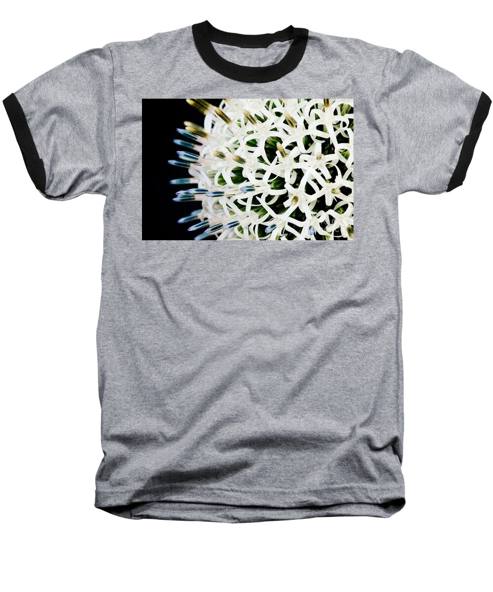 Alium Baseball T-Shirt featuring the photograph White Alium Onion flower #1 by Colin Rayner