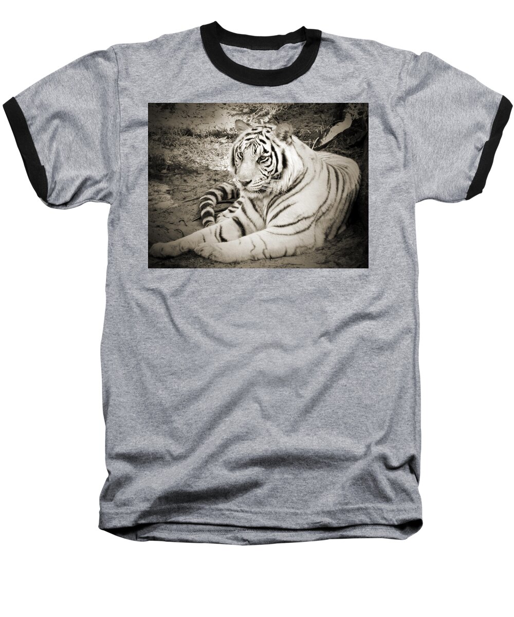 Whiter Tiger Baseball T-Shirt featuring the photograph White Tiger #1 by Steven Sparks