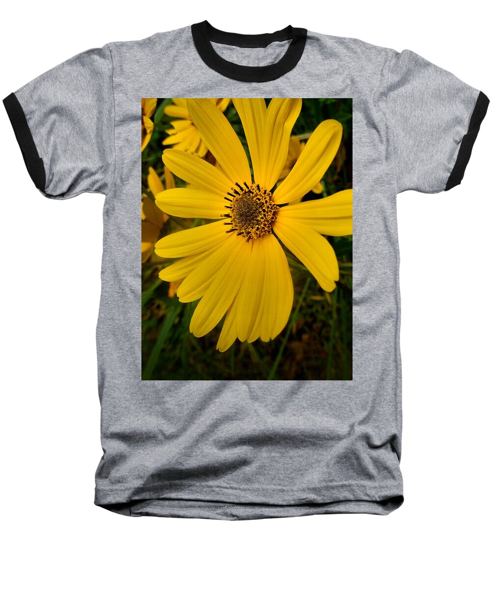 Fine Art Prints Baseball T-Shirt featuring the photograph Wild Yellow #1 by Dave Bosse