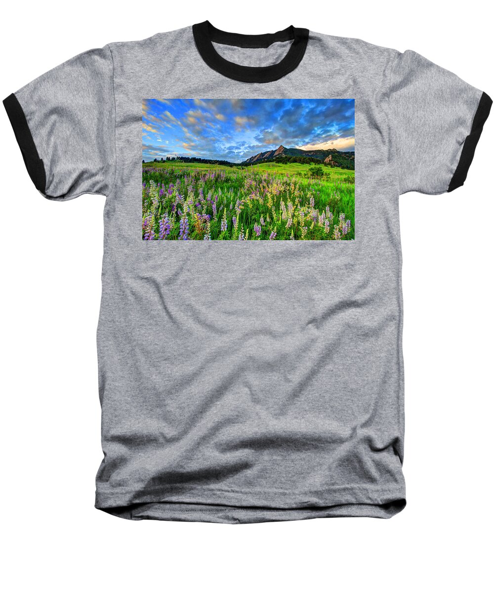 Wildflowers Baseball T-Shirt featuring the photograph Wildflower Wonder #1 by Scott Mahon