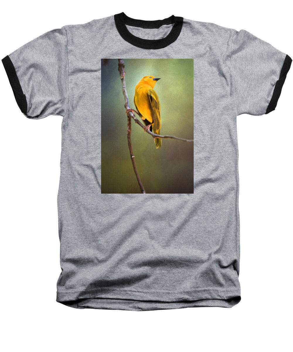 Animals Baseball T-Shirt featuring the photograph Yellow Bird #1 by David and Carol Kelly