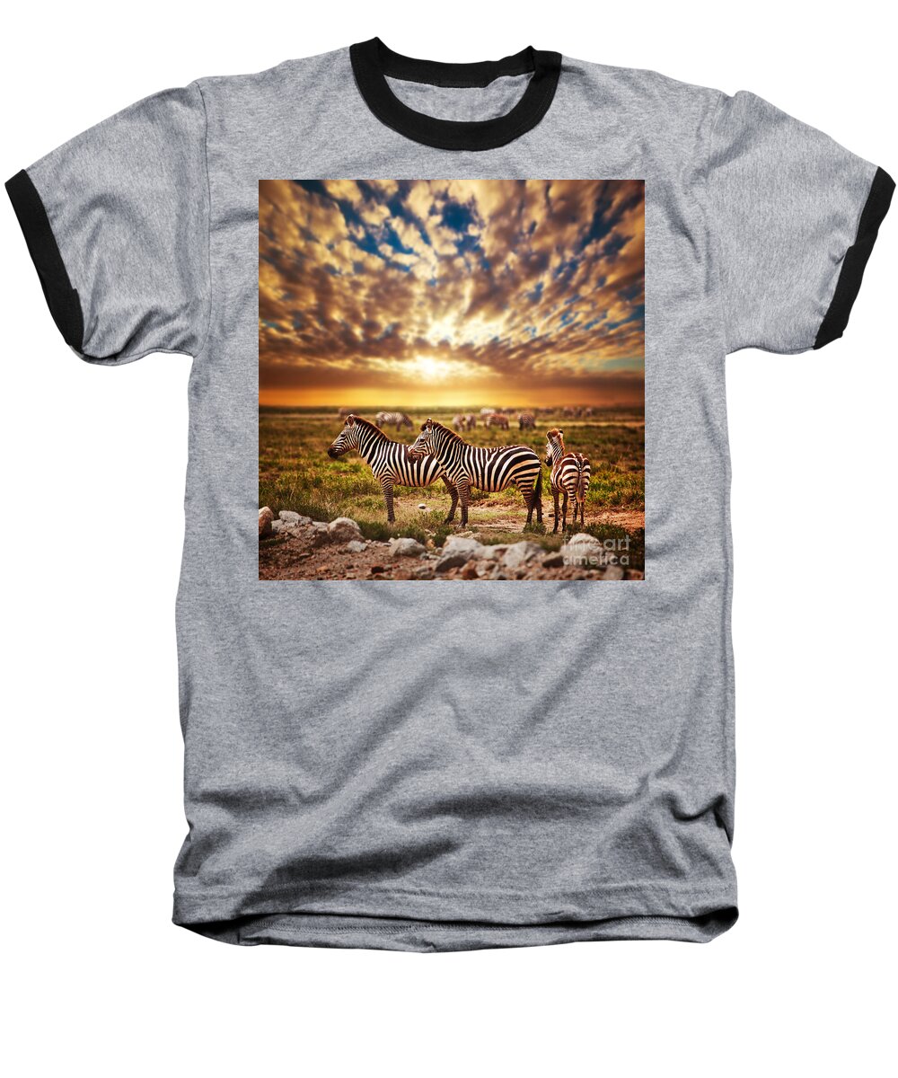 Africa Baseball T-Shirt featuring the photograph Zebras herd on African savanna at sunset. #1 by Michal Bednarek