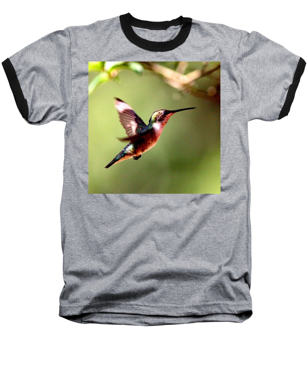 Ruby-throated Hummingbird Baseball T-Shirt featuring the photograph 103456 - Ruby-throated Hummingbird by Travis Truelove