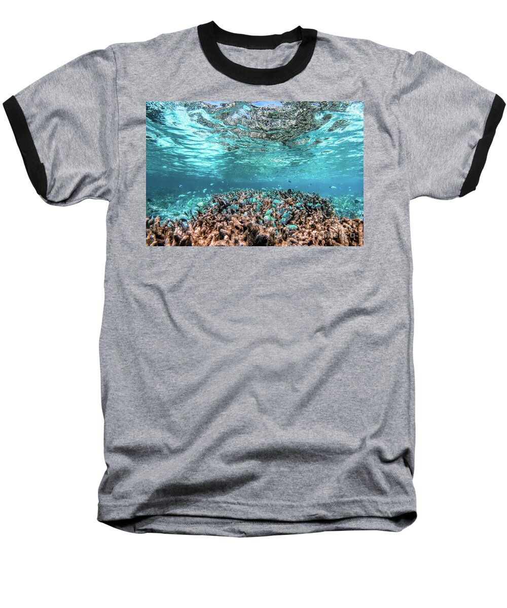 Underwater Baseball T-Shirt featuring the photograph Underwater coral reef and fish in Indian Ocean, Maldives. #12 by Michal Bednarek