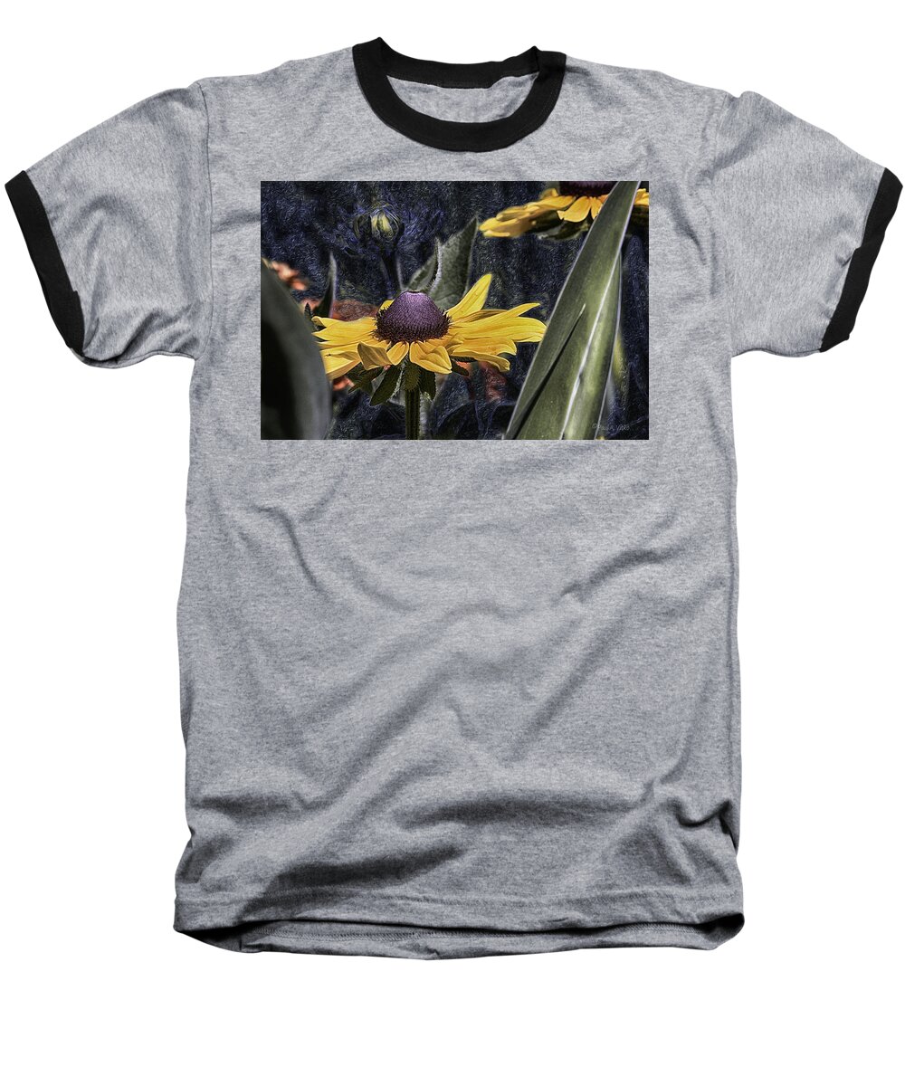 Starry Night Baseball T-Shirt featuring the photograph Untitled00vv by Paul Vitko