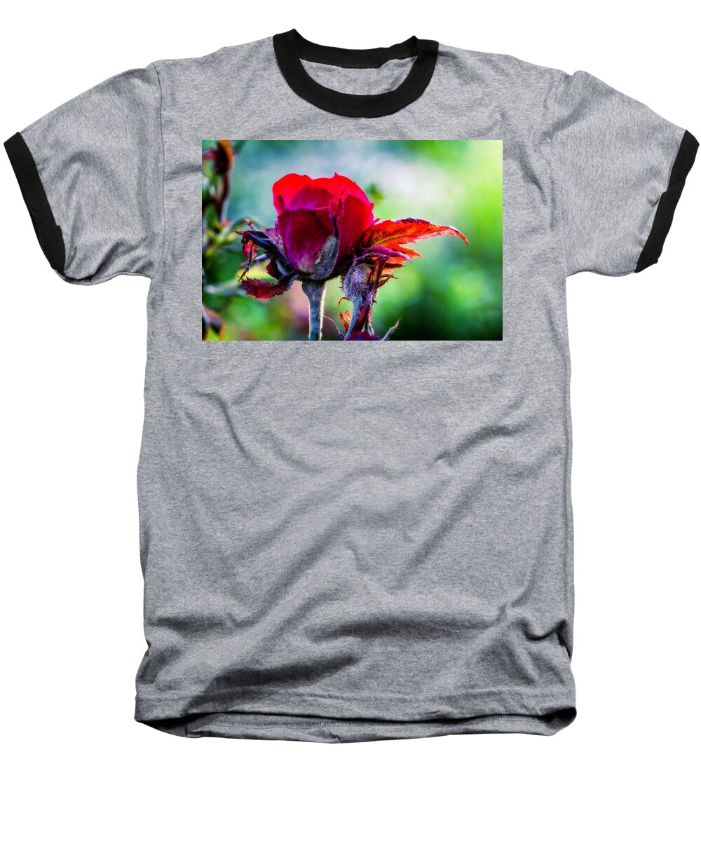 Flower Baseball T-Shirt featuring the photograph Fading Beauty #2 by Allin Sorenson